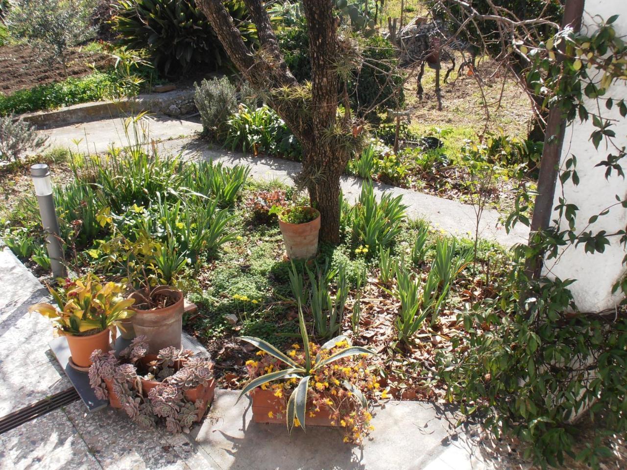 Casa Fortuna Imperia Exterior foto